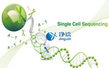 中國人自己的微流控單細胞測序儀來了！_微流控Drop-seq,微流控技術